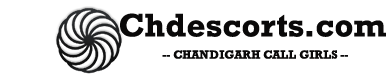Chandigarh Call Girl Agency logo